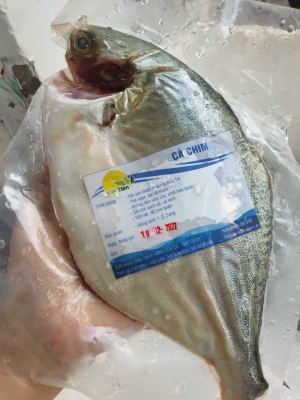 Cá Chim Trắng